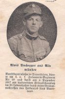 Buchegger Alois, Altmünster, Infantrist